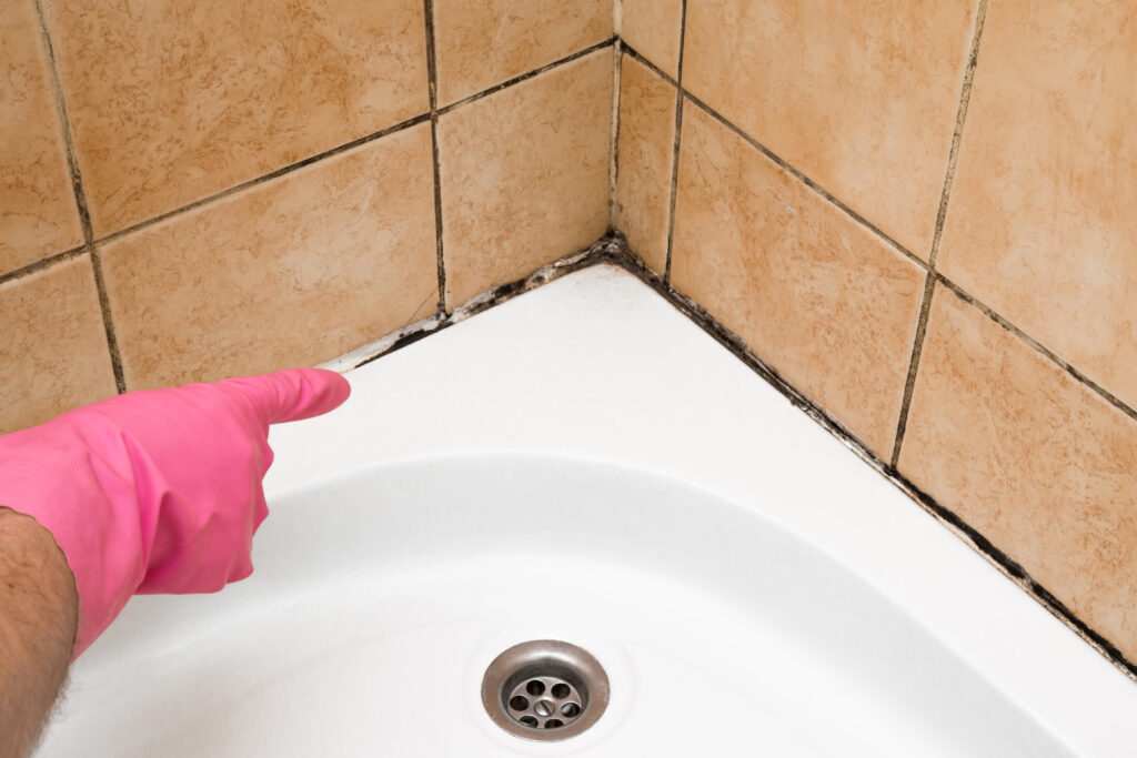 How To Prevent And Treat Mold Mildew In Your Bathroom Rock Doctor - How To Clean Bathroom Mold And Mildew